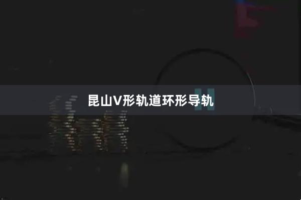昆山V形轨道环形导轨