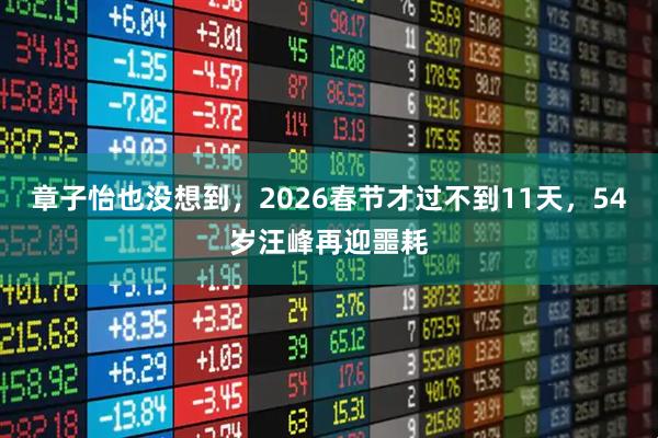章子怡也没想到，2026春节才过不到11天，54岁汪峰再迎噩耗