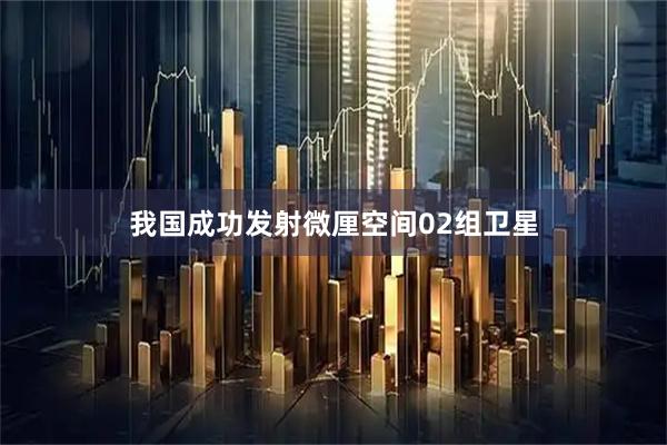 我国成功发射微厘空间02组卫星