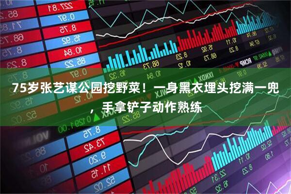 75岁张艺谋公园挖野菜！一身黑衣埋头挖满一兜，手拿铲子动作熟练