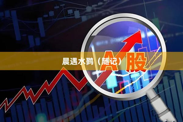晨遇水鹨（随记）